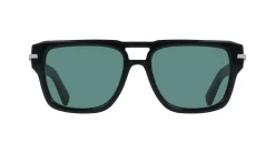 Gafas de sol Salvatore Ferragamo SF2070S