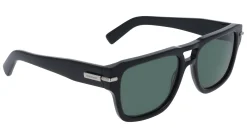 Gafas de sol Salvatore Ferragamo SF2070S