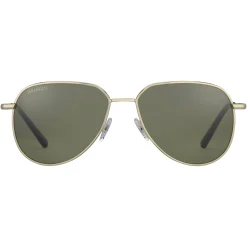 Gafas de sol Serengeti HAYWOOD SMALL SS544003