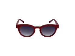 Gafas de sol Sting SST436